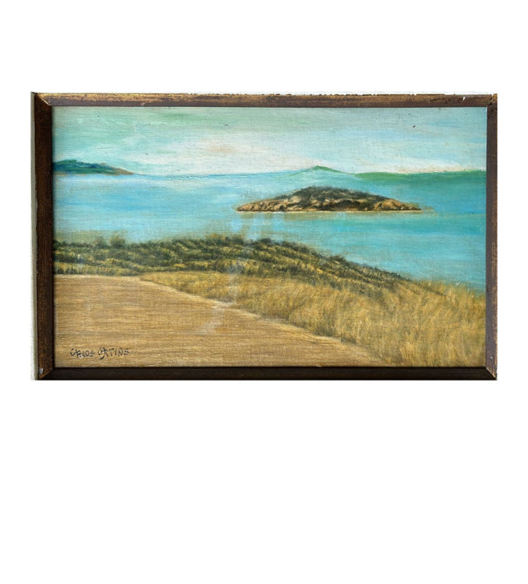 Carlos Martins - Quadro